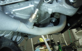 YAMAHA CYGNUSｸﾞﾘﾌｧｽ SEJ4J