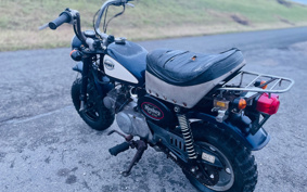 HONDA MONKEY Z50J