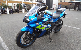 SUZUKI GSX250 R DN12B