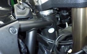 KAWASAKI NINJA H2 SX SE 2018 ZXT02A