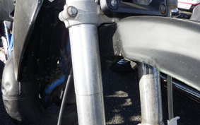 KAWASAKI KDX250SR 2019 DX250F