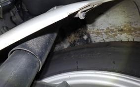 HONDA GYRO CANOPY TA03