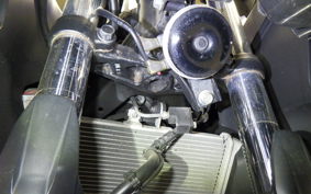 YAMAHA YZF-R25 2007 RG10J