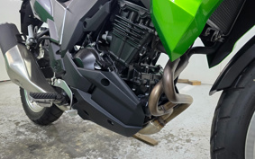 KAWASAKI VERSYS-X 250 ABS LE250D