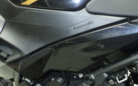 KAWASAKI NINJA 250 2020 EX250P