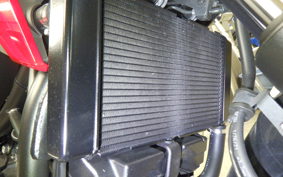 HONDA NC750X DCT 2021 RH09