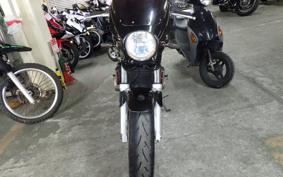 HONDA HORNET 250 2012 MC31