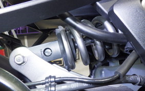 KAWASAKI NINJA 1000 SX 2022 ZXT02K