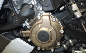 BMW S1000R 2022