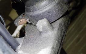 SUZUKI VOLTY NJ47A