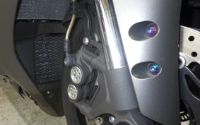 YAMAHA YZF-R1 S 2019