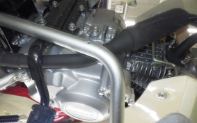 HONDA C110 SUPER CUB JA59