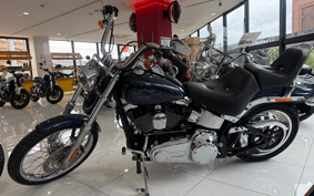 HARLEY FXSTC1340 2009 JL5