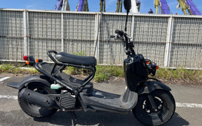 HONDA ZUMAR AF58
