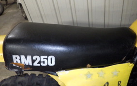 SUZUKI RM250 2014 RM250