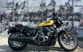 HARLEY RH975S NIGHT STAR 2024 ZF1