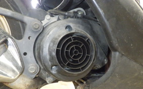 HONDA DIO ZX GEN 2 AF35