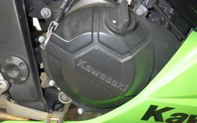 KAWASAKI NINJA 250 EX250L