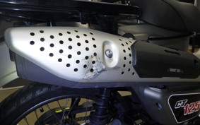 HONDA CT125-2 2025 JA65