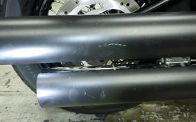 HARLEY FXBB1750 2019