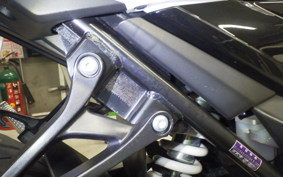 SUZUKI GSX250 R 2020