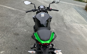 KAWASAKI Z250 EX250Y