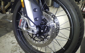 TRIUMPH TIGER900 RALLYARACO 2024