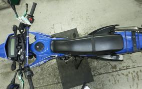 KAWASAKI KLX250D TRACKER X 2019 LX250V