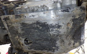 YAMAHA TRICKER DG10J