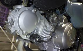 HONDA MONKEY 125 2022 JB05