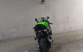 KAWASAKI NINJA ZX-6R 2021 ZX636G