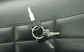 KAWASAKI Z900 2026 Z1F