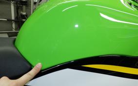 KAWASAKI NINJA ZX-6R A 2025 ZX636J