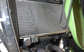 KAWASAKI NINJA 250R EX250K