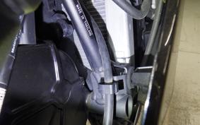 KAWASAKI NINJA 250 EX250P