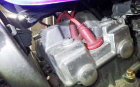 HONDA HORNET 250 2010 MC31