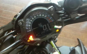 KAWASAKI Z900 2019 ZR900B