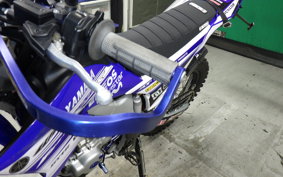 YAMAHA WR250R 2019 DG15J