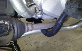 HONDA C110 SUPER CUB 2025 JA10