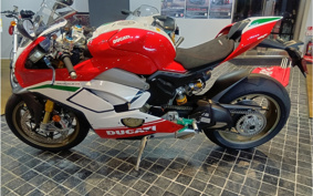 DUCATI PANIGA-REV4SUぺ CHEER -RE 2021 DA00J