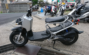 HONDA ZUMAR AF58