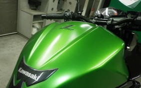 KAWASAKI Z250 A 2021 ER250C