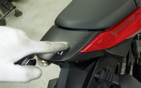 SUZUKI GSX250RA