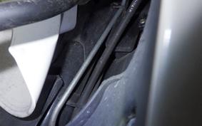 HONDA LEAD 110 2025 JF19
