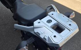 SUZUKI STROM 250ABS DS11A