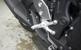 YAMAHA YZF R-3 2019 RH13J