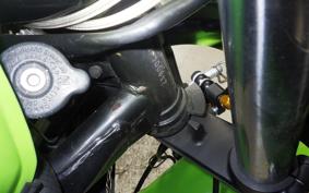 KAWASAKI GPZ900R NINJA 2002 ZX900A