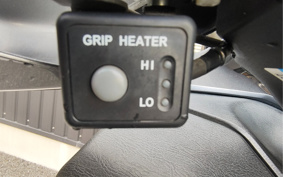 SUZUKI SKYWAVE 250 LIMITED CJ46A