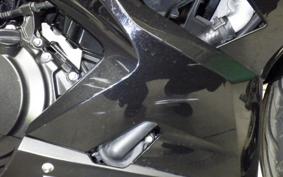 KAWASAKI NINJA 250 EX250P