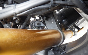 YAMAHA YZF-R25 1996 RG43J